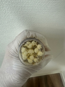 gel perla green sea peel